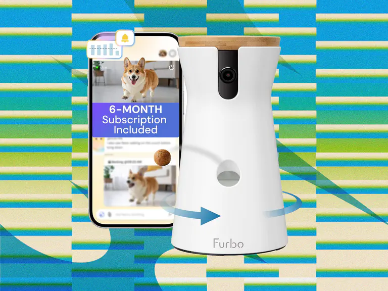亚马逊Prime Big Deal Days最佳宠物用品优惠：喂食器、猫砂盆等 (2026)