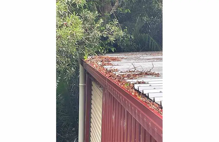 Laurieton Brigade urges residents to reduce fire hazards during spring clean