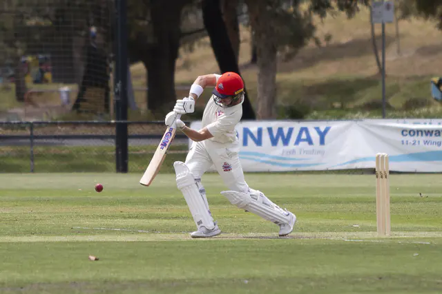 Bulldogs star with bat