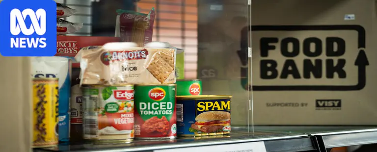 More than 3 million Aussie households are going hungry, new report finds