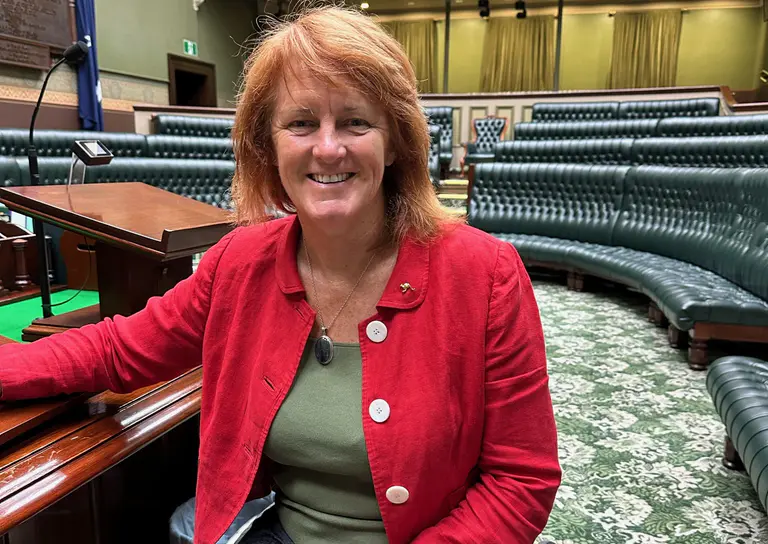 Man pleads guilty of violent threats to MP on social media