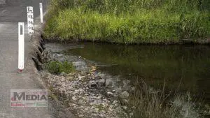 Flows in Canungra Creek reduce as Spring sets in