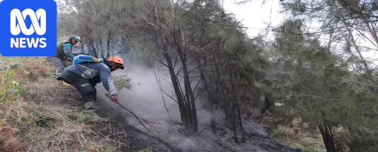Four dead and two others badly burnt in Indonesia wildfire