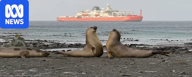 Expeditioners questioned decision to evacuate Macquarie Island over bird flu risk