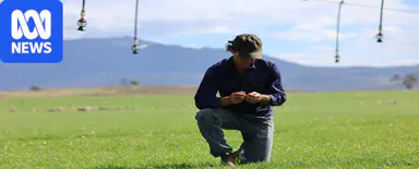Farmers reaping benefits of new Tasmanian irrigation scheme
