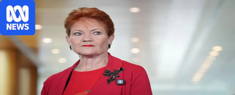 Hanson apologises for cartoon mocking Lambie's vaginal prolapse