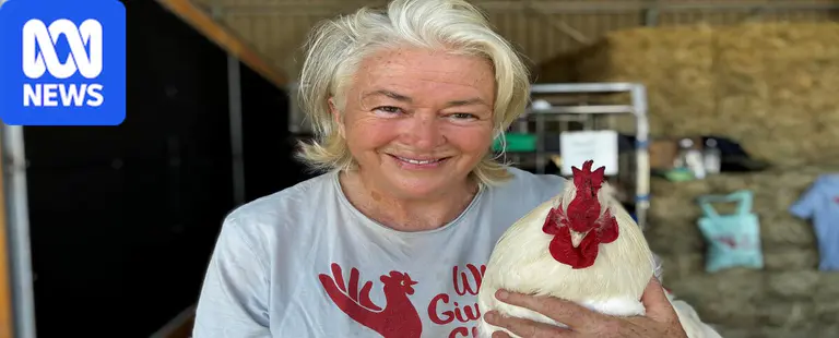 Charity helps thousands of caged hens find new homes