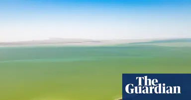 Outback kaleidoscope: Australia’s fabled desert lake bursts to life in rare sight