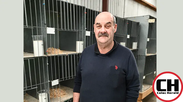 No birds for Colac Show’s ag section