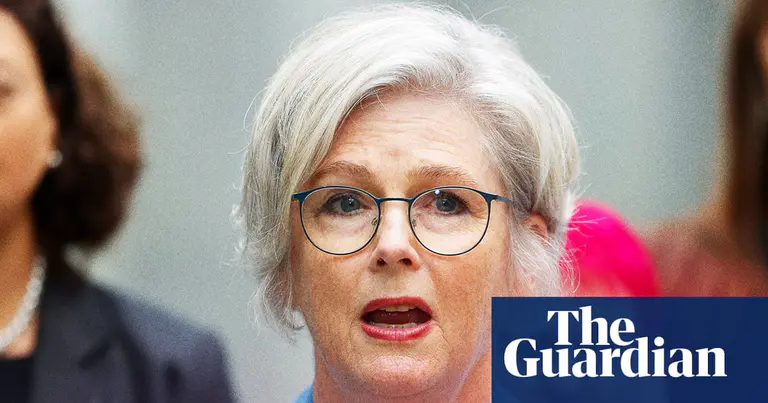 Australian MP attacked with car: what we know so far - The Latest