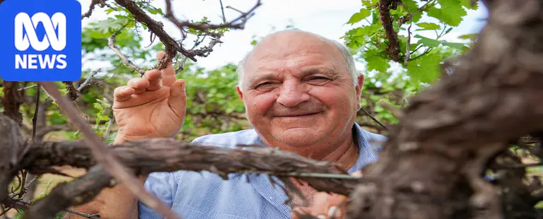 Retiring Riverland grape grower says industry support has come too late