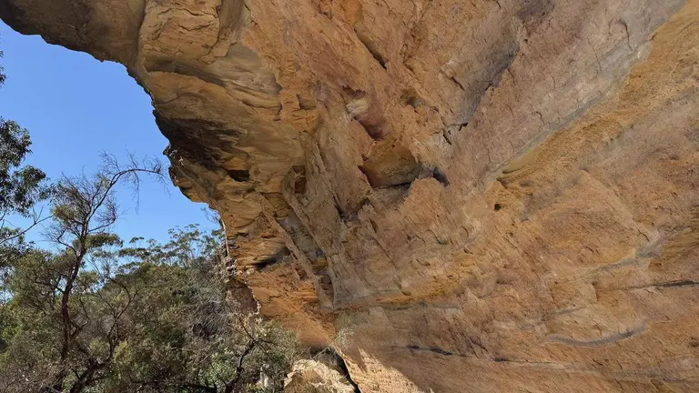 Ancient sites and artefacts uncovered by laser drones