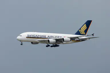 Singapore Airlines increases Adelaide flights to 12 a week