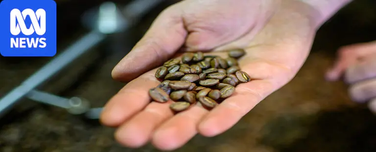 'Consumers should feel ripped off': How coffee brands have changed