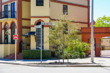 New trees take root in Fremantle’s West End