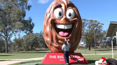 Mildura unveils ‘big sultana’ in celebration of 100 years of Sunbeam sultanas