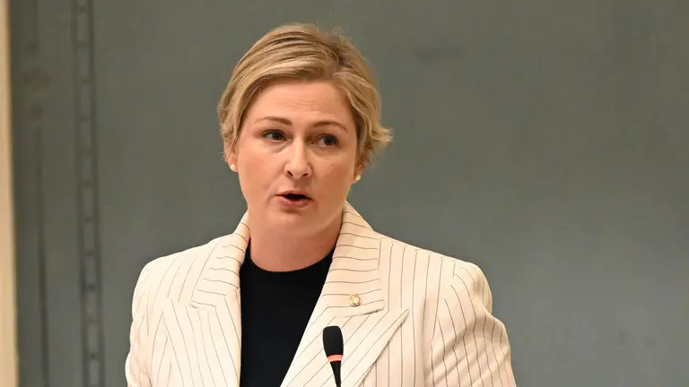 Queensland minister Amanda Camm steps down from child safety role, citing health concerns and threats amid months of scrutiny