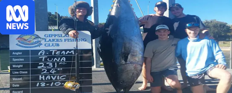 巨型金枪鱼吸引全球目光：230公斤渔获引发关注（Lakes Entrance）