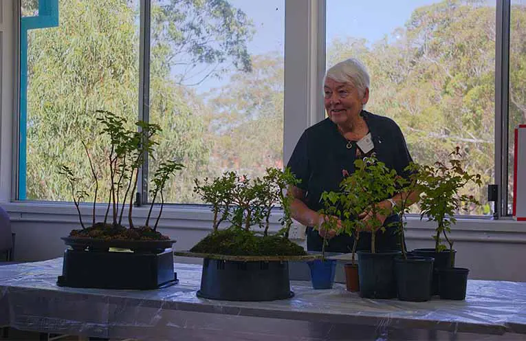 Melanie Delaney explains the secrets behind creating beautiful bonsai