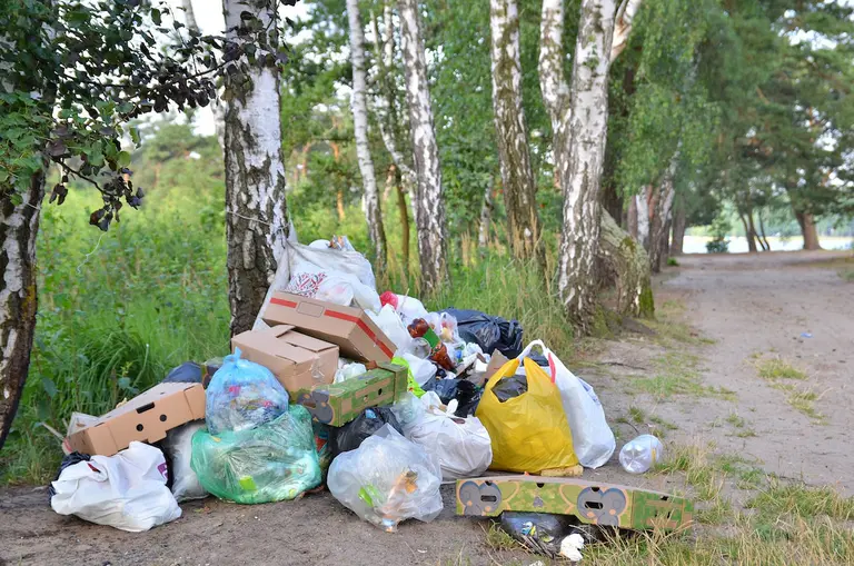 Councils join crackdown on illegal dumping