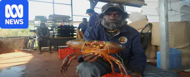 Fishermen racing crocs for crabs in Wadeye as new industry emerges