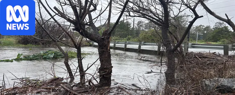 SES respond to hundreds of callouts as flash floods hit south-east Queensland