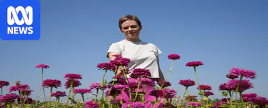 Small-scale florists hope to fill gap for romantics in Kununurra