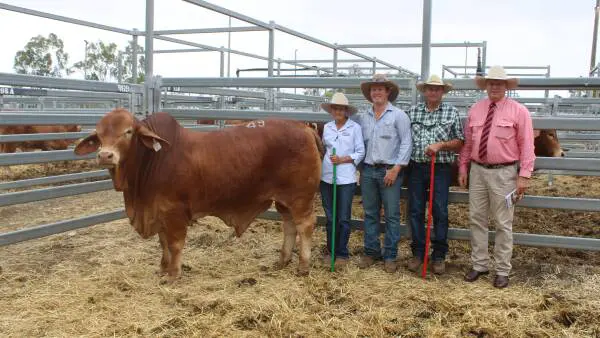 Why visual appraisal still trumps data for this beef producer at Droughtie sale
