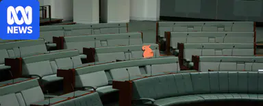 Parliament grieves as cardboard cockatoo serves as Helen Haines tribute