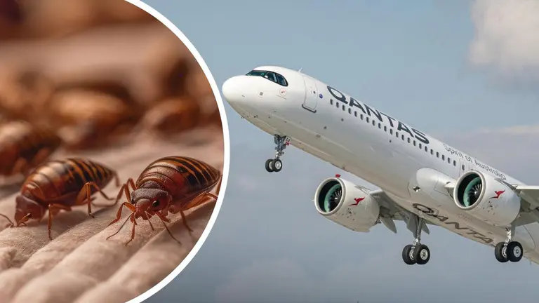 ‘Bugs just kept coming’: Passengers on board nightmare Qantas flight from Perth recount disgusting new details