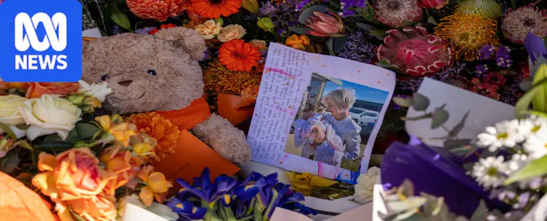 Wangaratta mother writes letter to injured MP Helen Haines