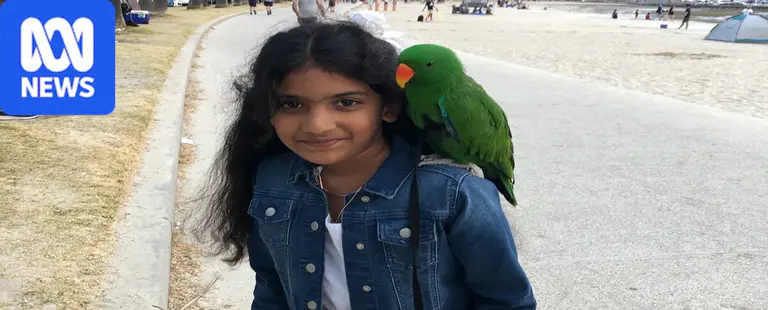 Warning signs missed before Melbourne girl's death in ED, coroner finds
