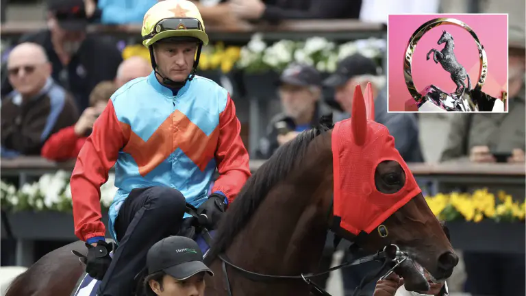 What time does The Everest race start 2026? Jump time and schedule for world's richest race on turf