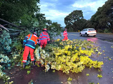 Storm shock: No injuries but there could have been, they say