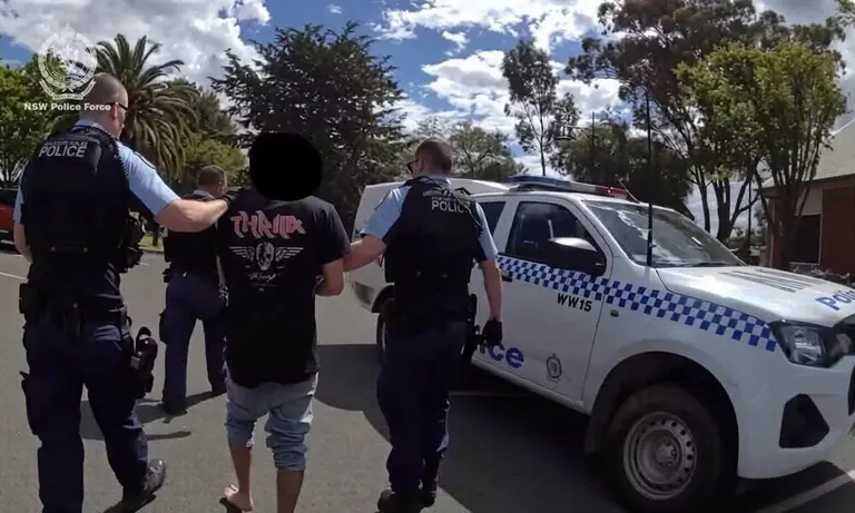 Woman stabbed in head in alleged domestic violence attack