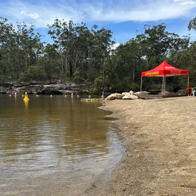 Lake Parramatta swim season opens with lifeguards returning