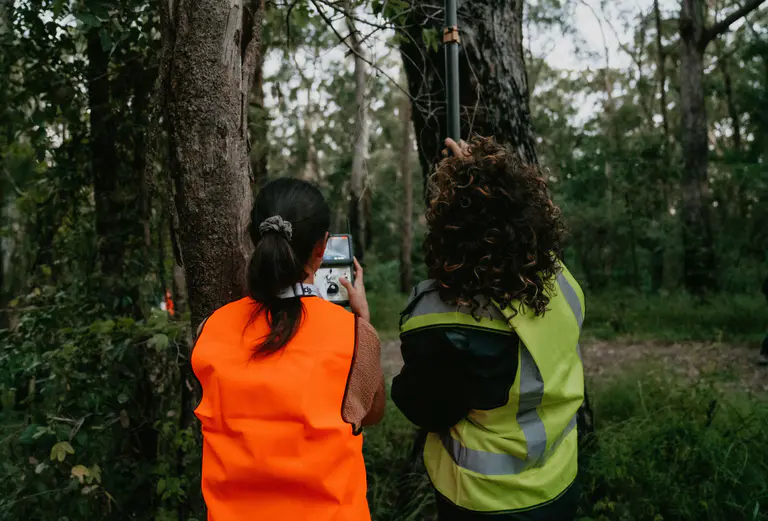 What’s hiding in Croom Reserve? Scientists need your help to find out