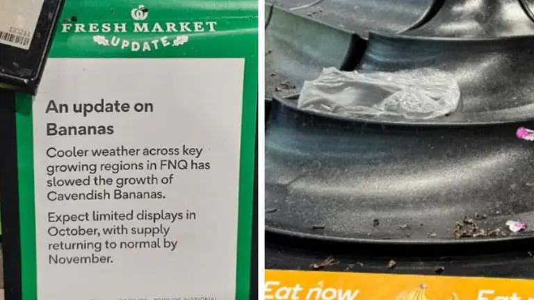 Coles와 Woolworths, 추운 날씨로 퀸즐랜드 작물 생산 둔화에 따른 바나나 품귀 현상 직면