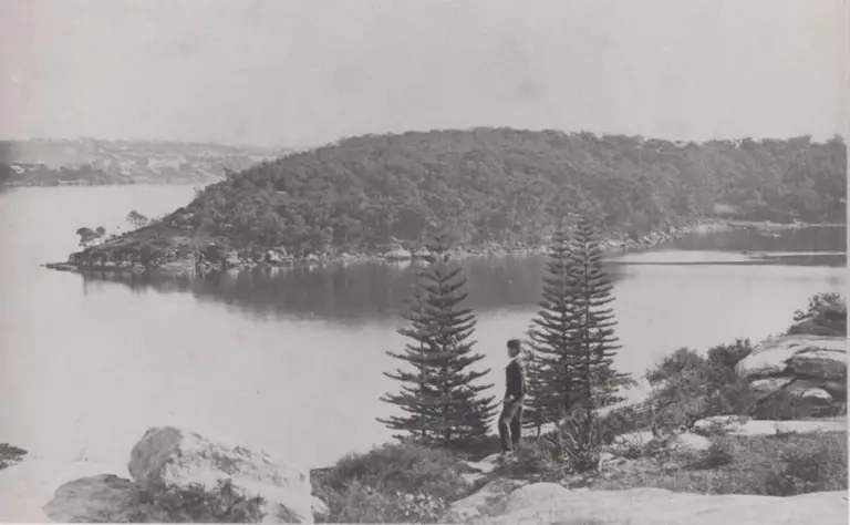 Balls Head and Berry Island set to celebrate 100 years in public hands