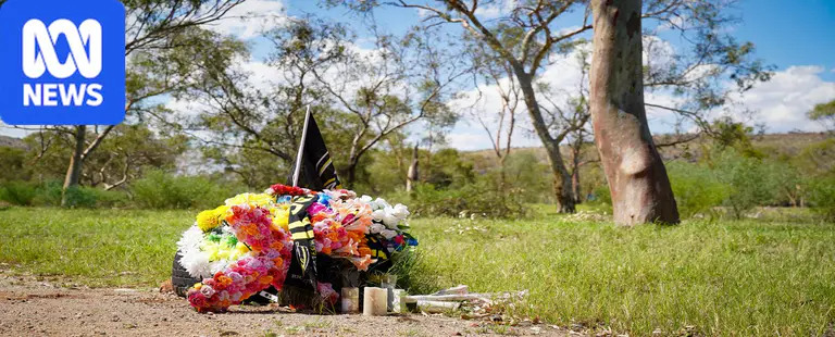 Man allegedly bragged about having 'killed someone' after hit-and-run
