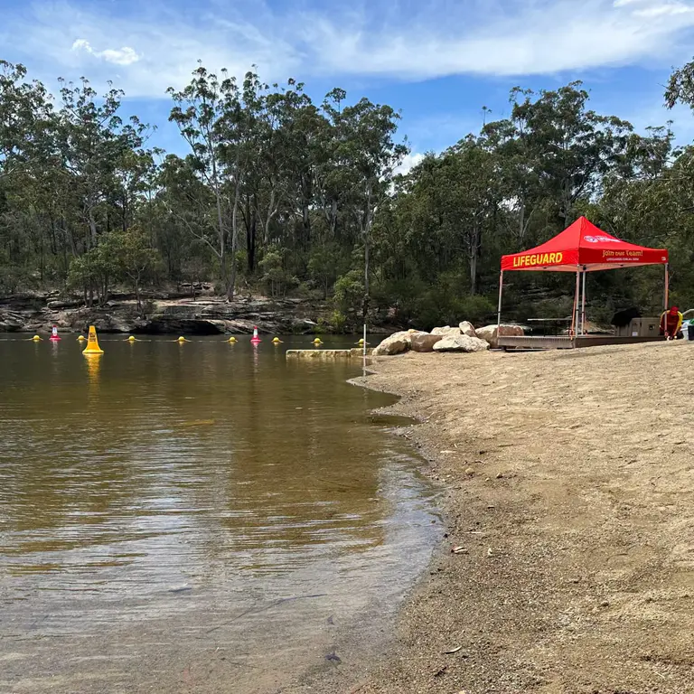 Lake Parramatta swim season opens with lifeguards returning