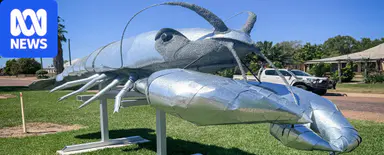 Outback giant yabby Australia's latest 'big thing'