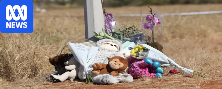 Premier says new information on Hawke children deaths should be considered
