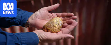 Amateur prospector finds $150,000 gold nugget in outback