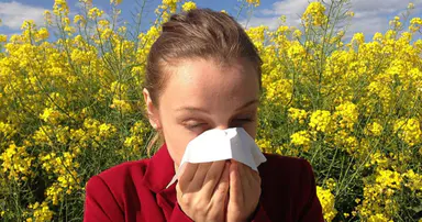 The worst may be yet to come for hay fever sufferers