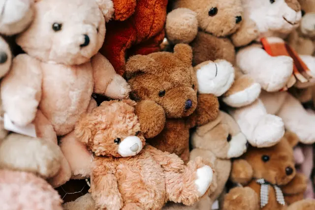 Teddy bear picnic for childrens week
