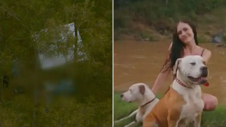 Chermside body discovery: ID revealed after body found near dog attack scene