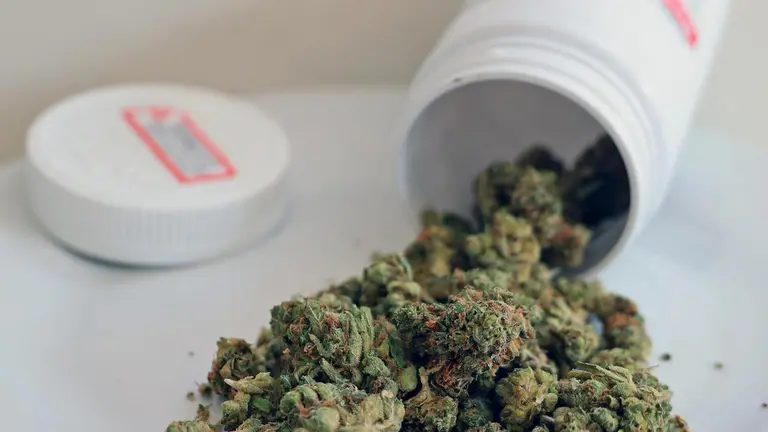 Under-25 medicinal cannabis approvals surge in Australia, experts raise red flags over youth health risks