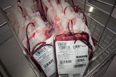 澳大利亚红十字会生命之血（Lifeblood）紧急呼吁献血者