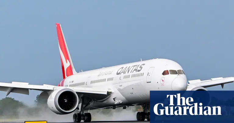 Bedbug infestation forces Qantas to ground plane in Rome